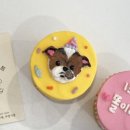 멍프레시 이미지