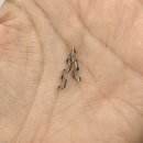 메디커넥트 이미지