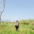 대저캠핑장 이미지