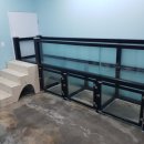 화이트펫# 이미지