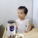 오트랜드 이미지
