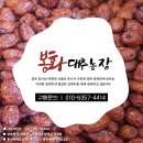 윤정희농장 네이버블로그