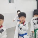 정릉 용인대 태권도장 네이버블로그