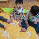 뻥튀기당 Daum카페