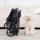 펫 투게더 이미지