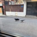 신공주맛집 | 밀린 사진첩 털이