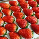 한우림농장 이미지