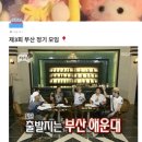 끼룩 부산 갈매기 (2박3일 부산여행 일정, 부산여행 코스 추천)