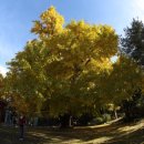 하곡마을 이미지