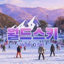 강촌 | 엘리시안강촌 스키강습 렌탈 비용 후기