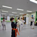 경희대솔밭태권도