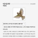 정민유치원 | 꽃은 웃어도 소리가 없다