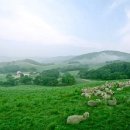 기호목장 이미지