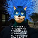 여우비즈니스클럽 | 3일 벼락치기 하고 치른 첫번째 오픽 IH 달성 후기 | OPIC 공부법, 기출 질문내용, 오픽노잼, 여우오픽