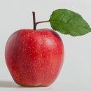 짐투짐 여성전용 PT 이미지