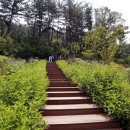 화원119안전센터 이미지