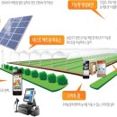 시동농장 이미지