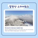 송천목장 | 대관령 눈꽃축제와 평창 가볼만한곳 양떼목장부터 켄싱턴호텔평창