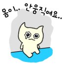 리폼드 크로스핏 네이버블로그