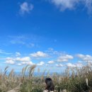 미현목장 이미지