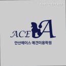 안산에이스 애견미용학원 네이버블로그