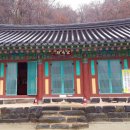 천년의 미소 이미지