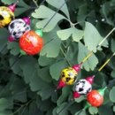 백호3호 이미지