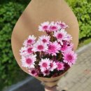 한돌한의원 이미지