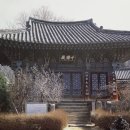 대흥사