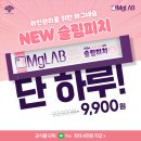 마그랩 슬림피치 라인관리 마그네슘 피치펌킨맛 9,900원 핫딜 이미지