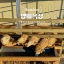 소이목장 이미지