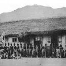 신흥농장2 이미지