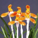 (주)금화 이미지