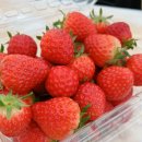 (주)팜양주 이미지