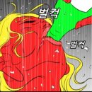 코엔타베 네이버블로그