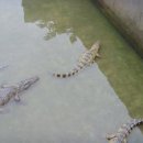 동관농장 이미지