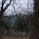 봉성초등학교 이미지