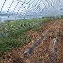 (주)제이에스홀딩스팜 이미지