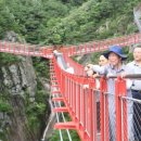 거창 항노화 힐링랜드 이미지