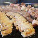 제주꽃돼지 이미지