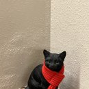 메디팜압구정약국 이미지