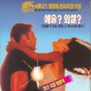 하몽하몽 네이버블로그