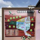 포천 트멍캠핑장 애견동반 키즈캠핑장 D동 명당 추천