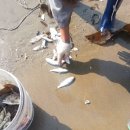 섬가람 펜션 이미지