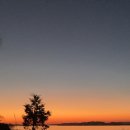 서익산농협주유소 이미지