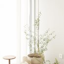 오오오하우스 이미지