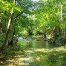 흥정계곡오토캠핑장 이미지