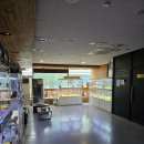 펫퍼스트 24시 강아지분양 고양이분양 이미지