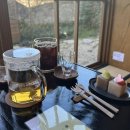 봄이 왔다 3월 일기