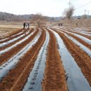 성근농장 이미지